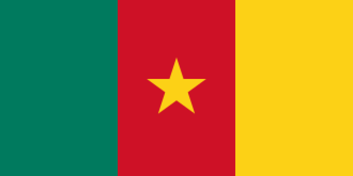 Cameroon flag